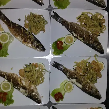 Panorama 3* Bashtove